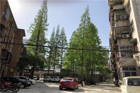 水泵厂宿舍远航国际东区北邻3室1厅1卫